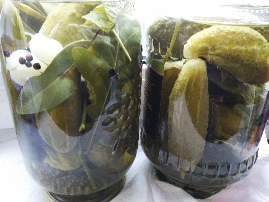 Маринованные огурцы без заморочек