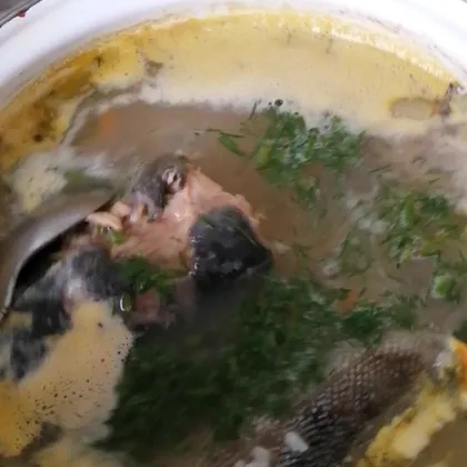 Рыбный суп (уха)