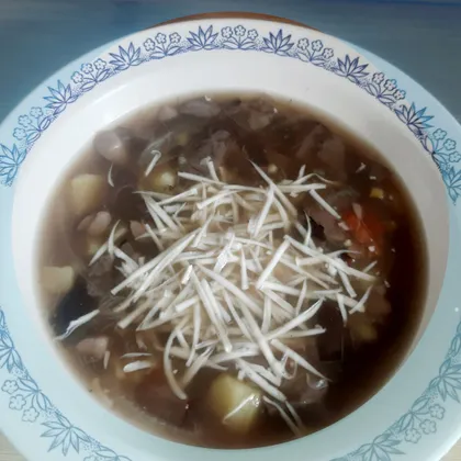 Домашний суп из свежих лесных грибов