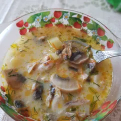 Лёгкий грибной супчик с куриным мясом😋