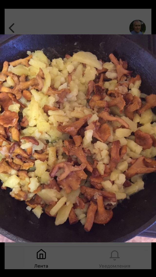 Жареный картофель с лисичками
