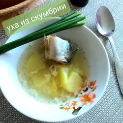 Уха из скумбрии