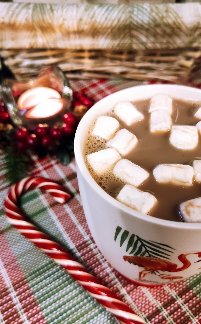 Какао с молоком и маршмеллоу 🥤