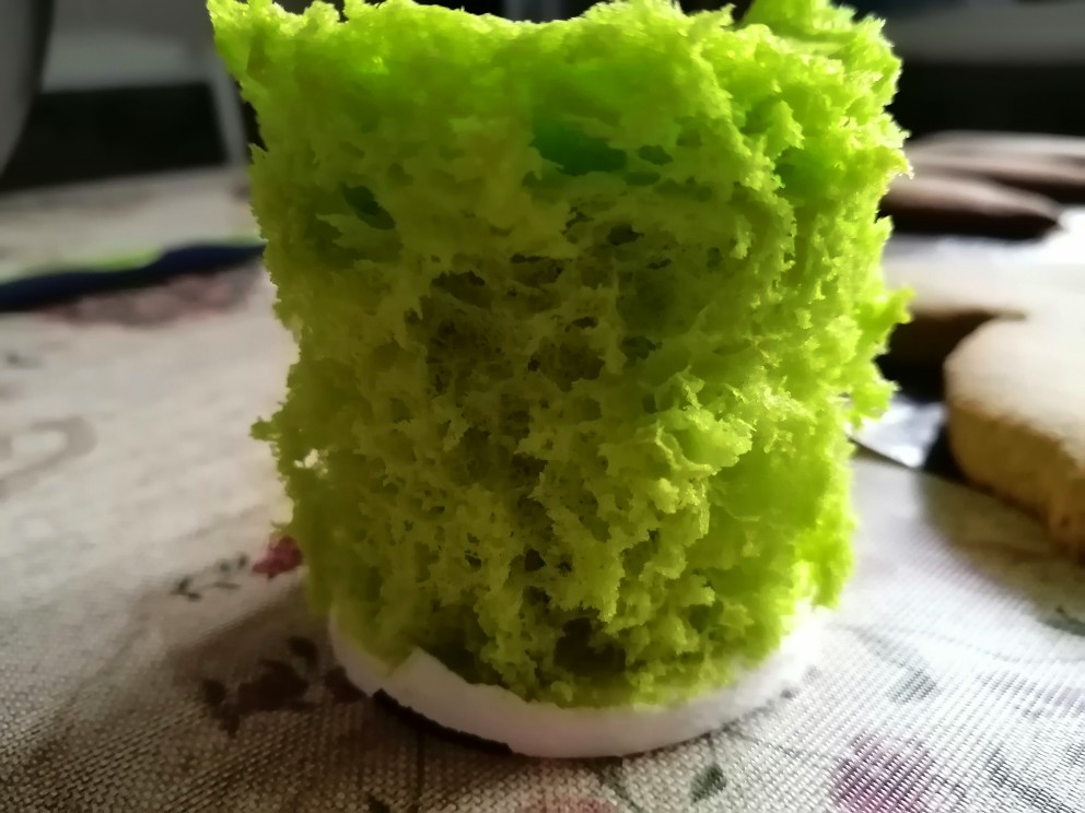 Зеленый мох для украшения