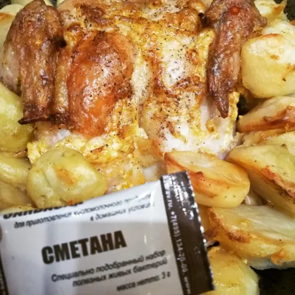 Курица в сметане с картошкой в духовке