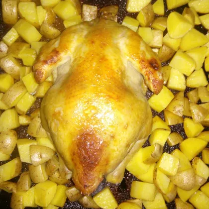 Курица с картошкой в медово-горчичной подливе