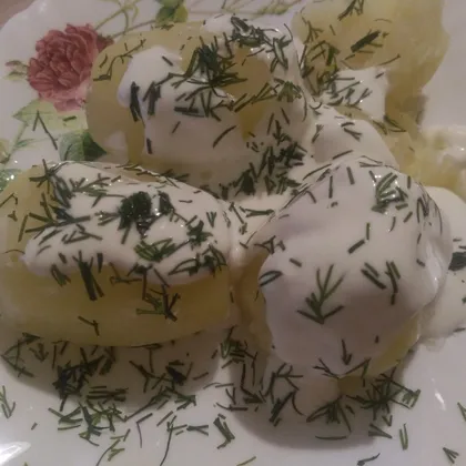Круглая картошка со сметаной