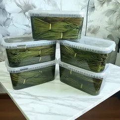 Папоротник (заготовка на долговременное хранение)