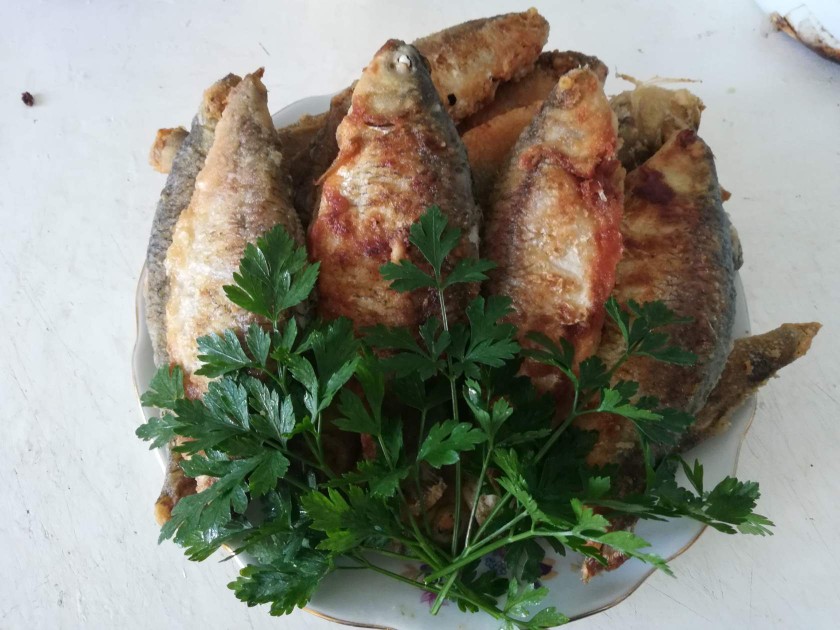 Караси в духовке: рецепт вкусного блюда из рыбы