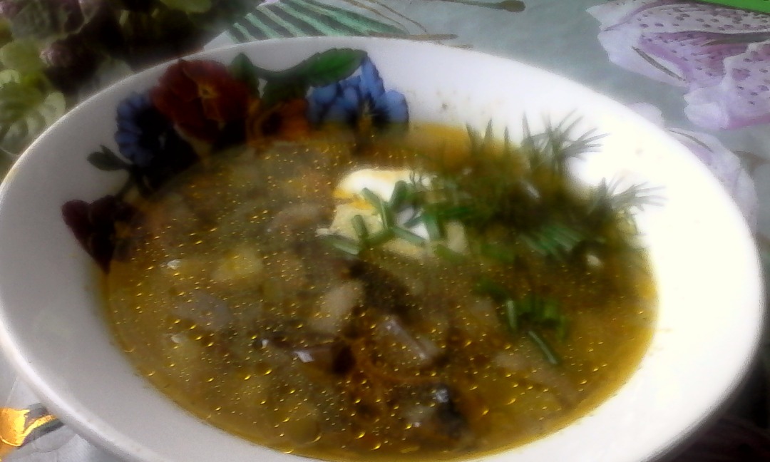 Грибной суп из подберезовиков с вермишелью