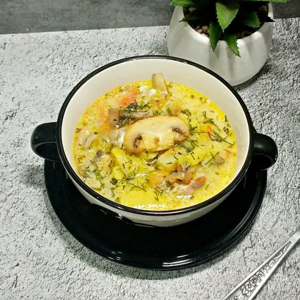 Сырный суп с курицей, грибами и плавленым сыром простой рецепт с фото пошагово