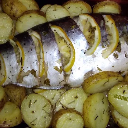 Рыба, запечённая с картофелем и лимоном на луковой подушке