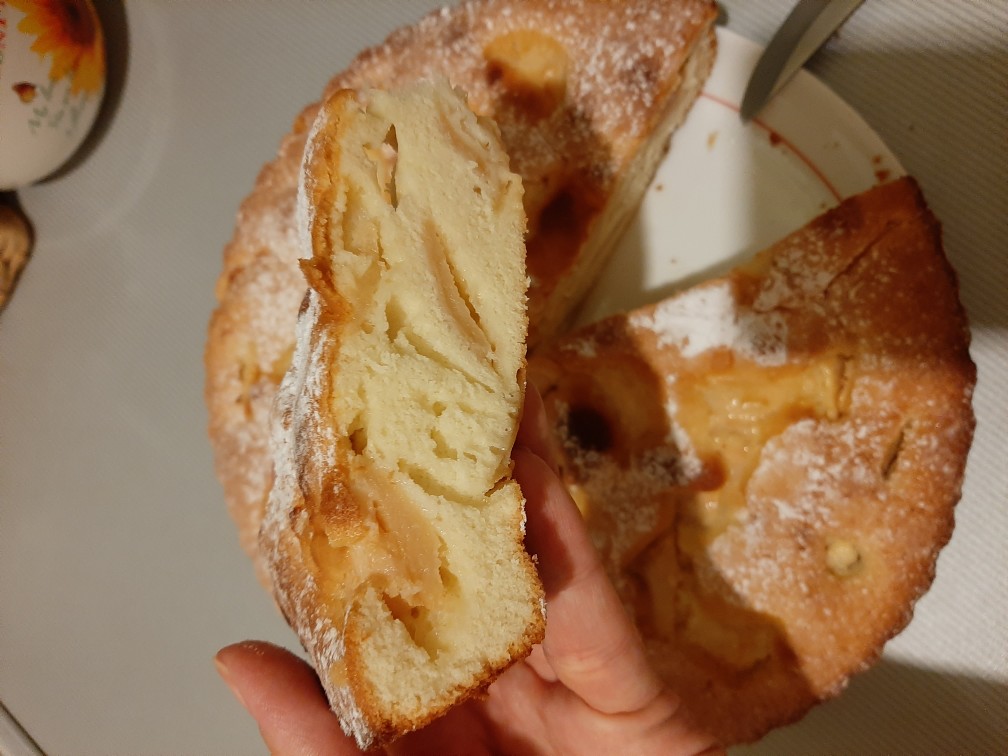 Шарлотка с яблоками за 5 минут