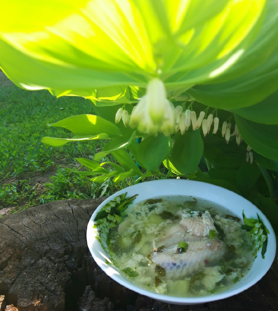 Суп со щавелем, пошаговый рецепт с фото от автора Третьякова Дарья