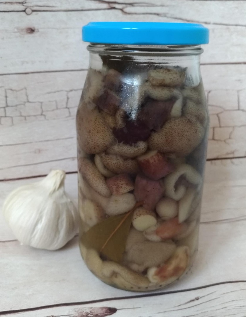 Солёные маслята на зиму