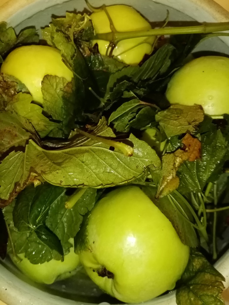 Маринованные яблоки по-болгарски (как раньше, как в СССР) — рецепт с фото пошагово