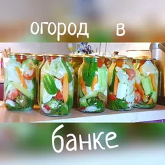 Огород маринованный в банке