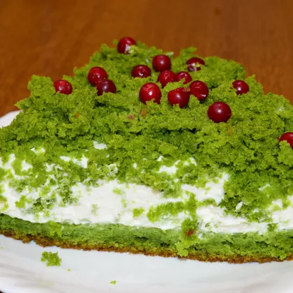 Торт Лесной мох - новогодний, необычный, нежный