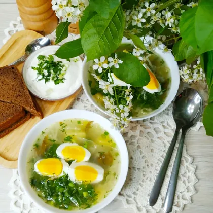 Весенний суп с молодой капустой и щавелем