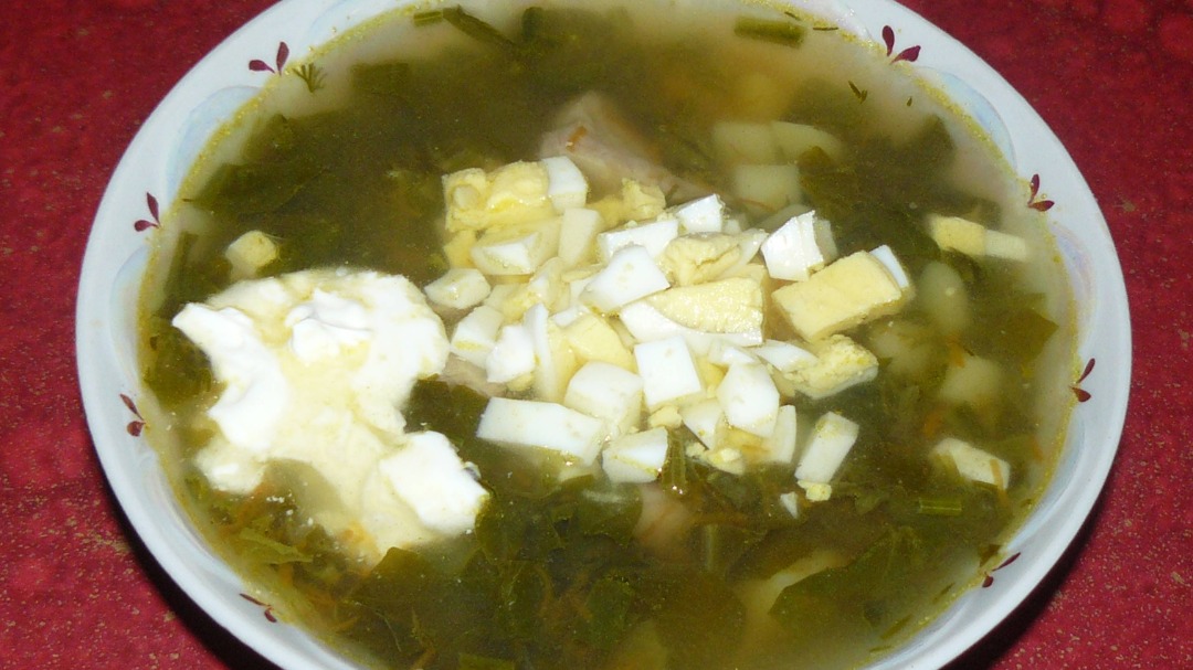 Зеленый борщ со щавелем