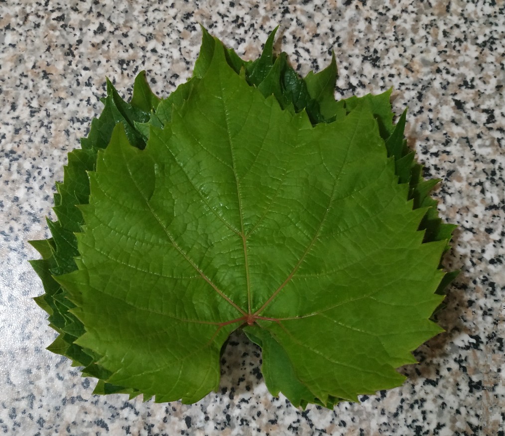 Заморозка виноградных листьев