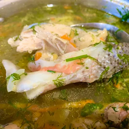 Суп рыбный с форелью
