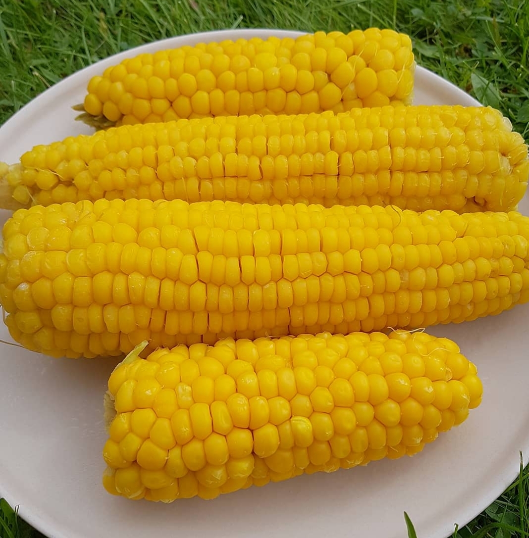 Вареная кукуруза🌽🌽🌽