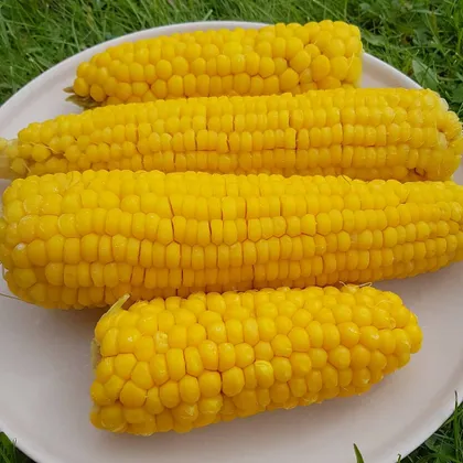 Вареная кукуруза🌽🌽🌽