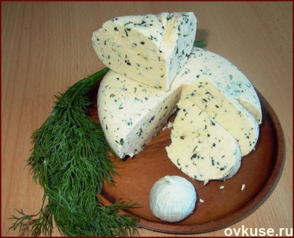 Домашний сыр из молока и кефира с зеленью. Самый простой рецепт