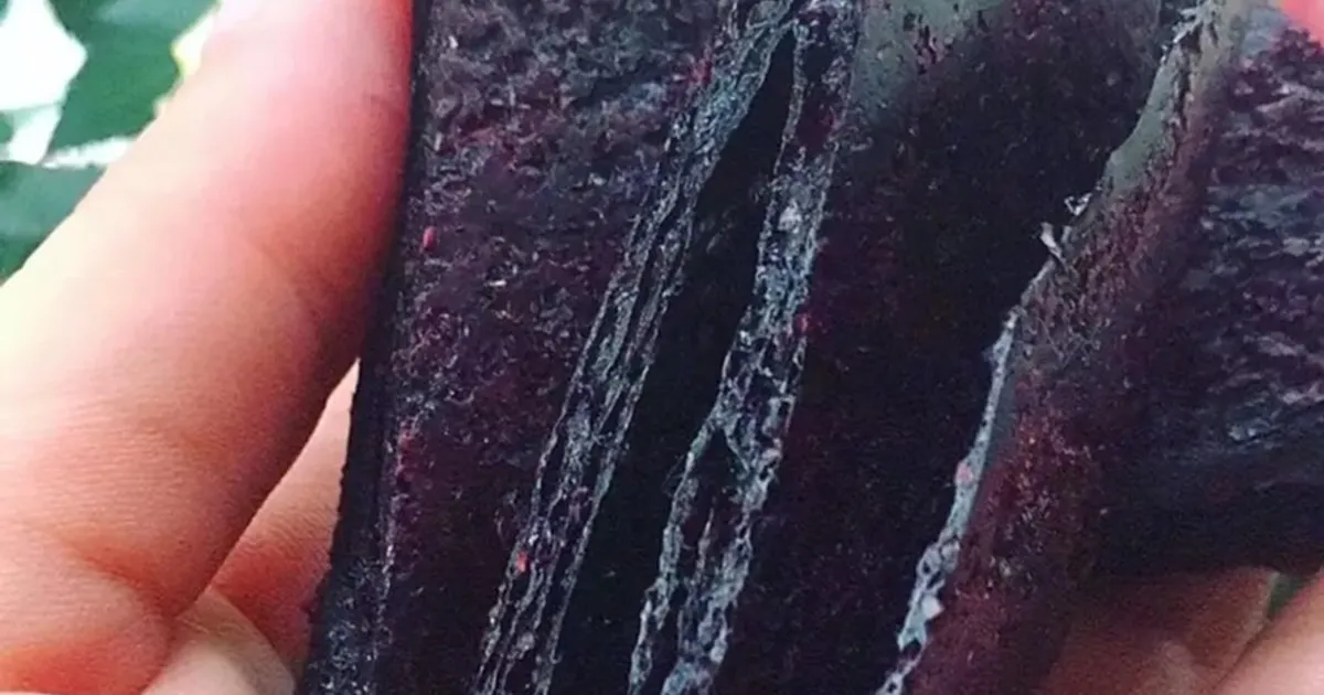 Пастила из ягод без сахара рецепт с фото пошаговый от Юлия Семёнова ...