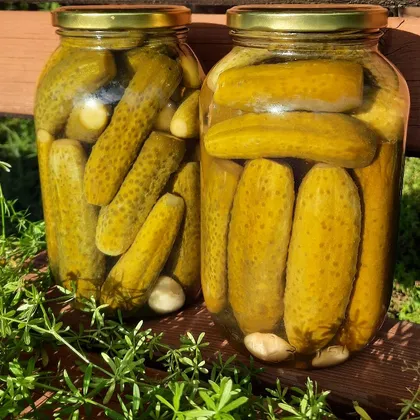 Маринованные огурцы без специй в банке