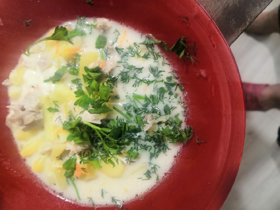 Куриный суп с картофелем, пошаговый рецепт на ккал, фото, ингредиенты - Anna