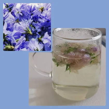 Чай из цветков Цикория обыкновенного