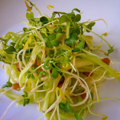 Салат с кабачком и ростками