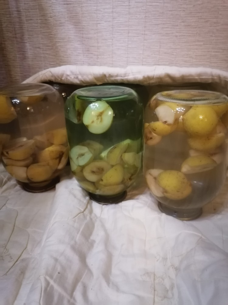 Компот из груш