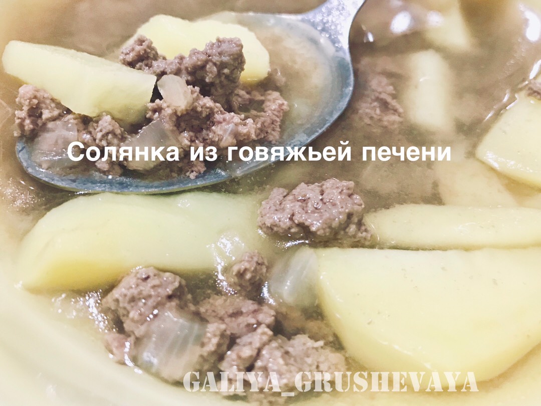 Солянка мясная — сборная