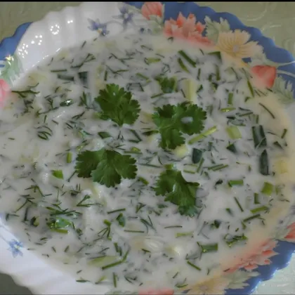 Болгарский суп 'Таратор'