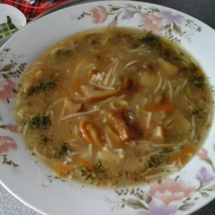 Суп с вермишелью из замороженных белых грибов