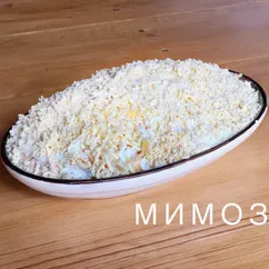 Мимоза