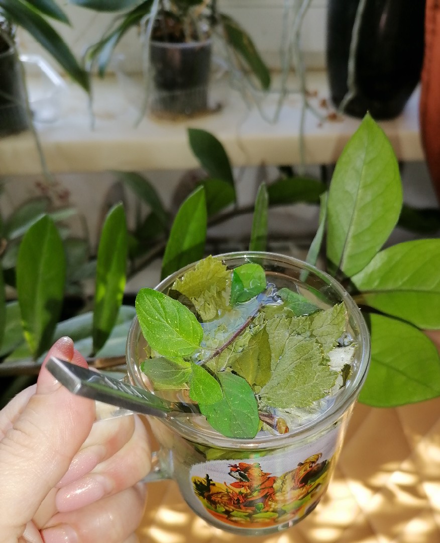 Витаминный чай