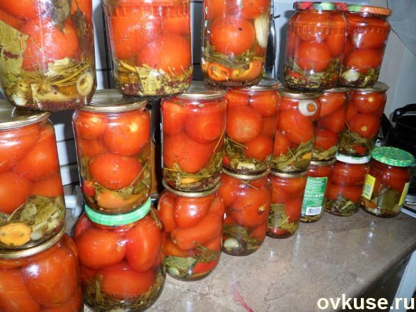 Помидоры болгарские