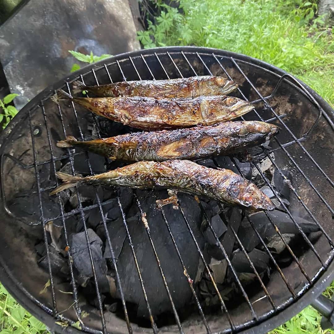 Готовим скумбрию на гриле: рецепты приготовления рыбки с дымком