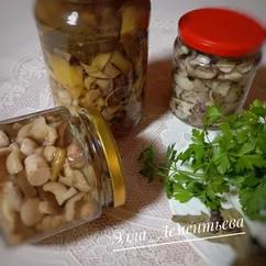 Маслята маринованные