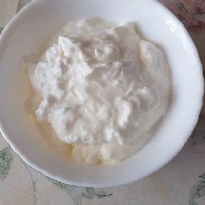 Домашний йогурт без добавок в хлебопечке moulinex