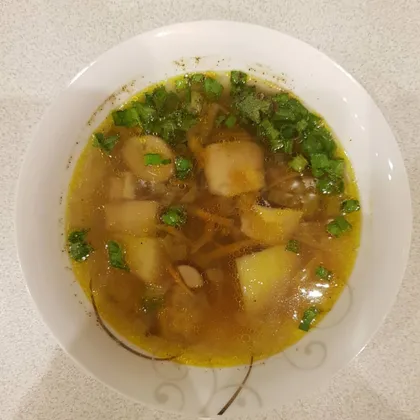Самый простой суп из белых грибов
