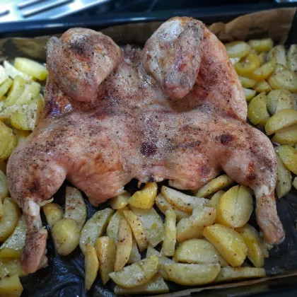 Курица с хрустящей корочкой, запечённая целиком. Новый год 2024 в духовке 