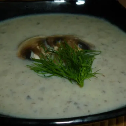 Суп-пюре из кабачков с шампиньонами