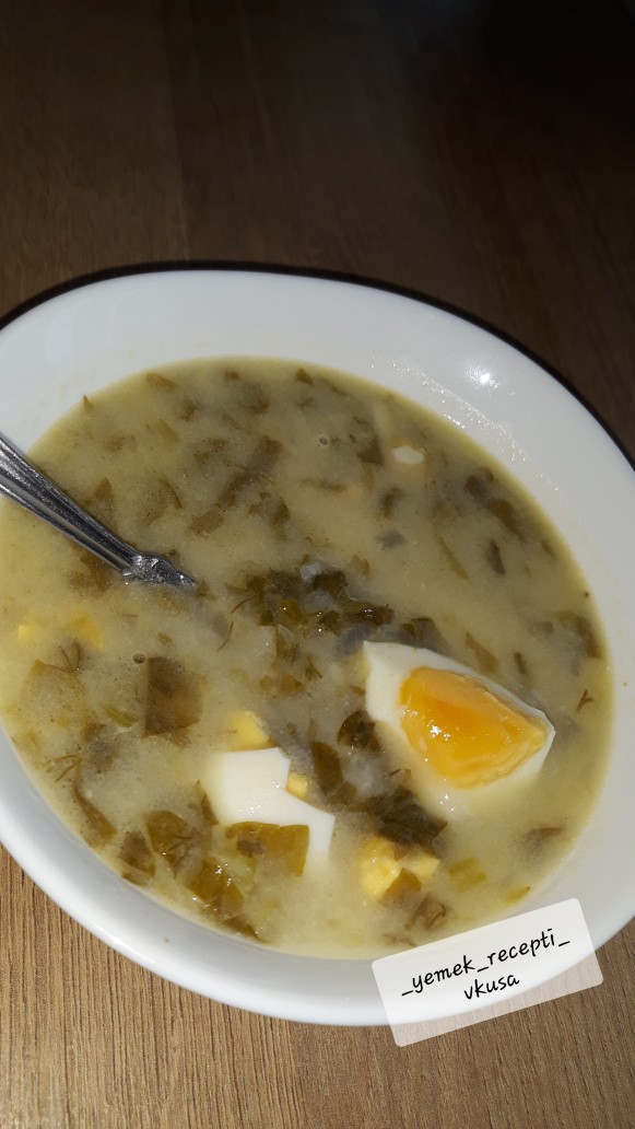 Зеленый борщ без мяса - простой рецепт с фото щавелевого супа - Рецепты, продукты, еда | Сегодня