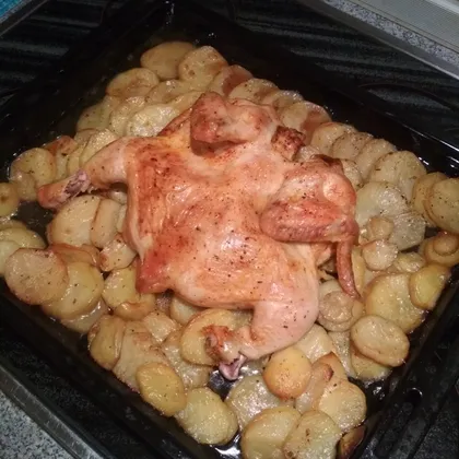 Курочка в духовке с маринованным картофелем