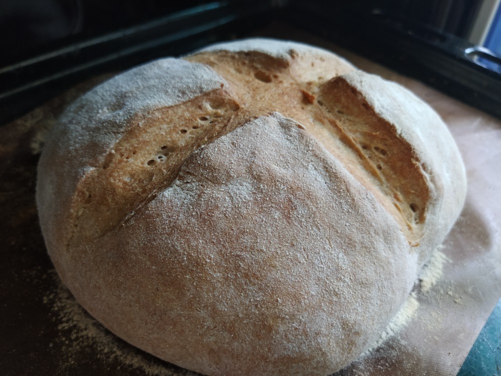 Хлеб домашний круглый. Как испечь круглый хлеб в домашних условиях. Игрушка из пинтереста хлеб. Хлеб в духовке в домашних условиях простой рецепт.